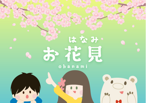 Hanami: The Japanese Way