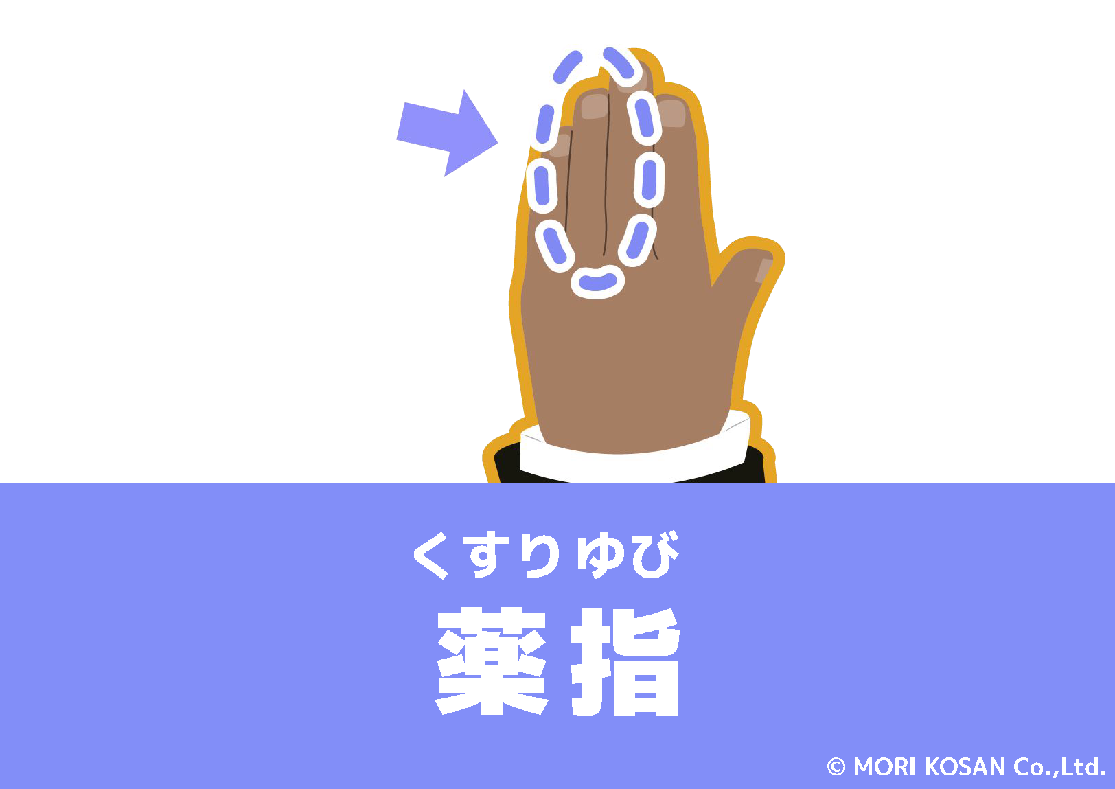【WA.102】今日の日本語「薬指」