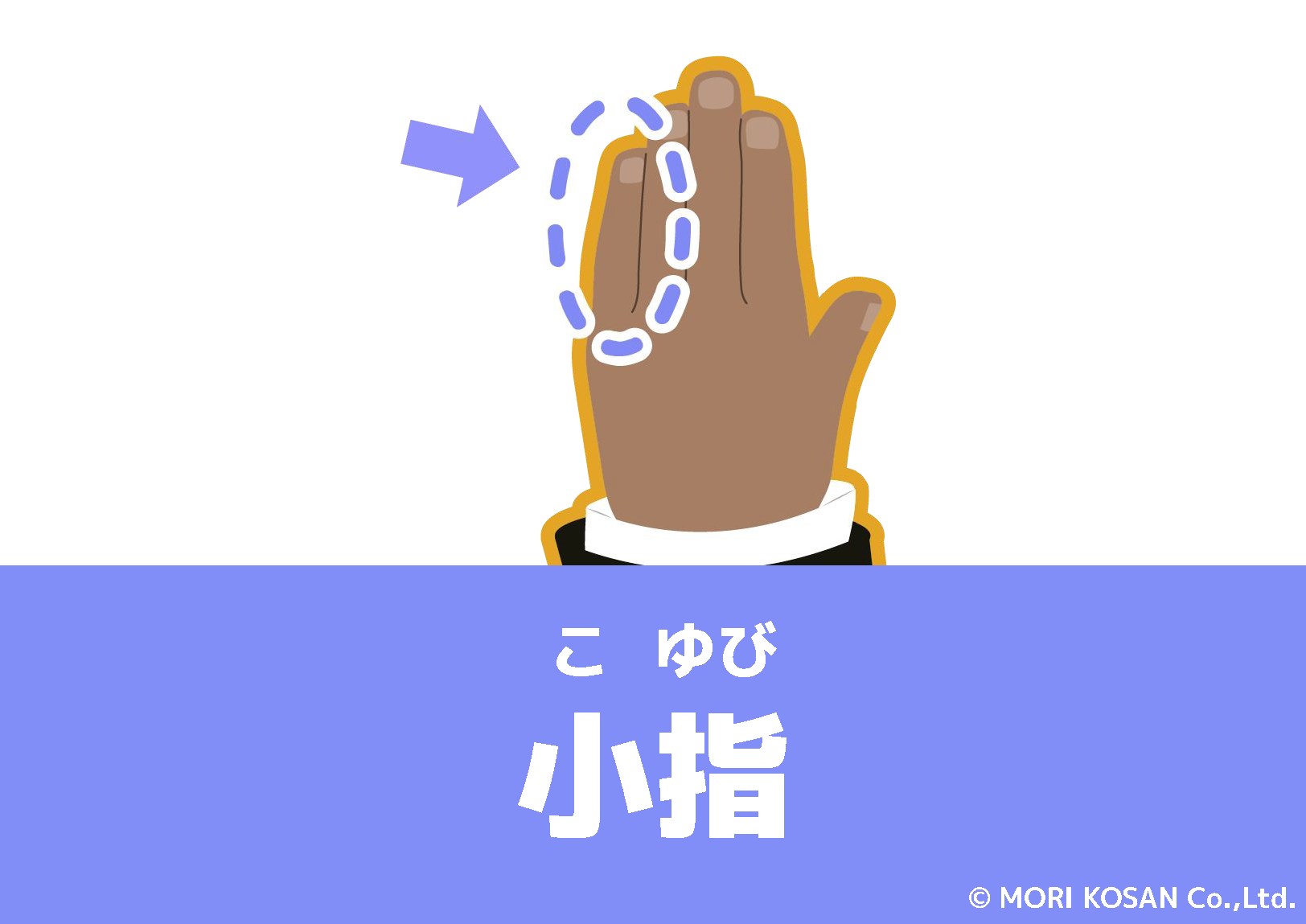 【WA.103】今日の日本語「小指」
