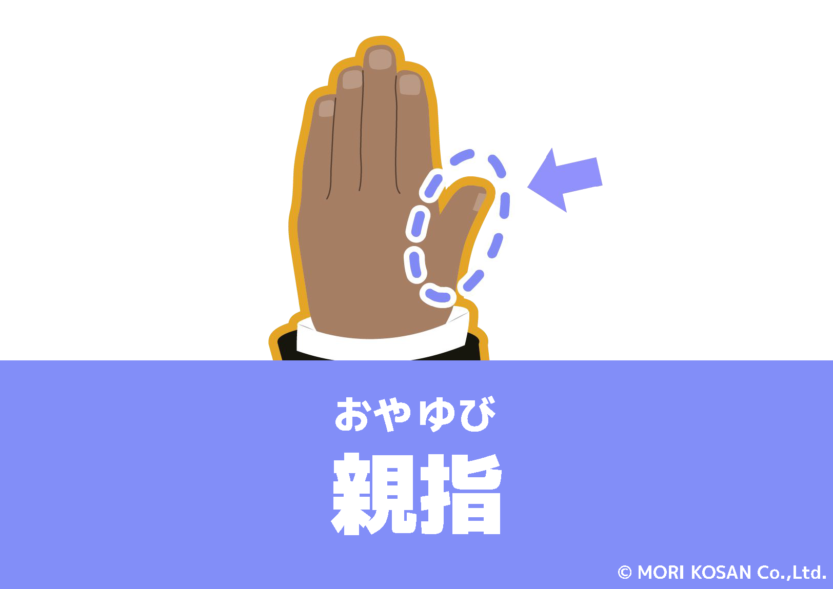 【WA.099】今日の日本語「親指」