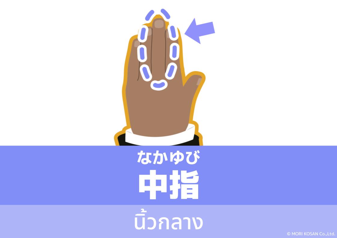 【WA.101】คำศัพท์ภาษาญี่ปุ่นวันนี้「中指」(なかゆび)