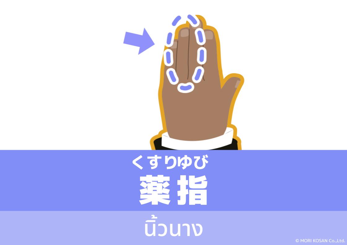 【WA.102】คำศัพท์ภาษาญี่ปุ่นวันนี้「薬指」