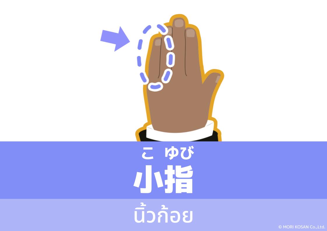 【WA.103】คำศัพท์ภาษาญี่ปุ่นวันนี้「小指」(こゆび)