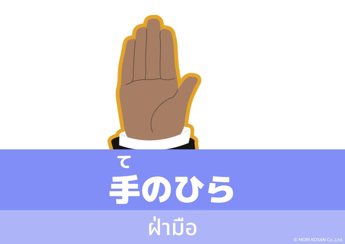【WA.104】คำศัพท์ภาษาญี่ปุ่นวันนี้「手のひら」(てのひら)