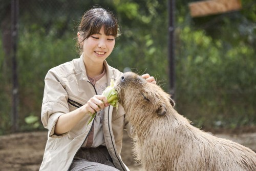 北海道エコ・動物自然専門学校・Hokkaido Eco-Animal Nature College